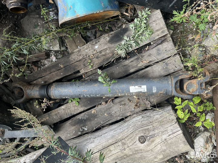 Карданы мазовские