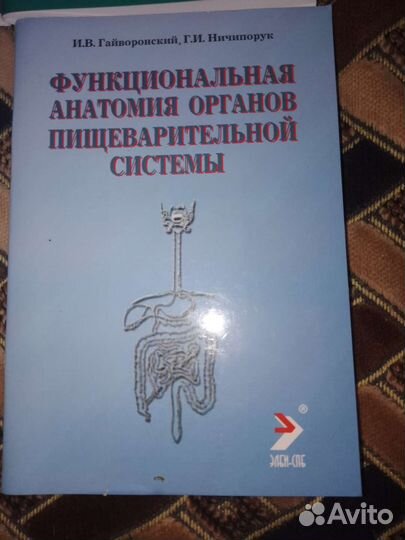Анатомия