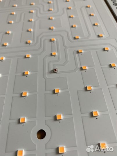Quantum board Samsung lm301b 160w