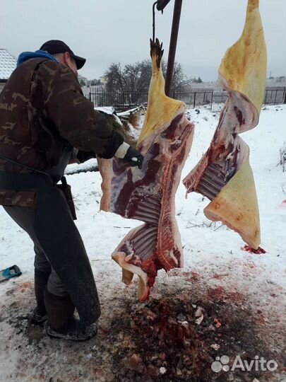 Забой скота