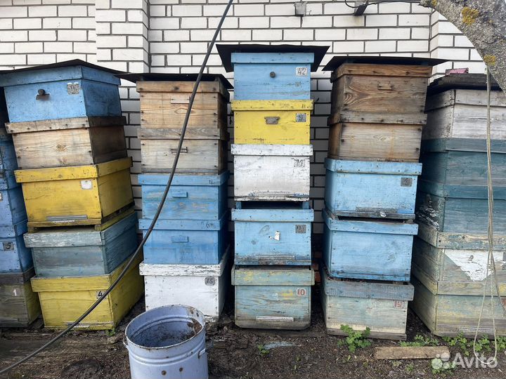 Улей 12 рамочный