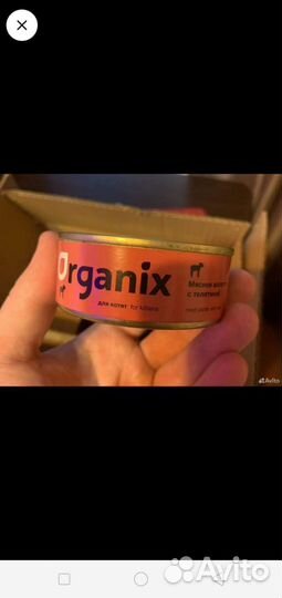 Влажный корм для кошек