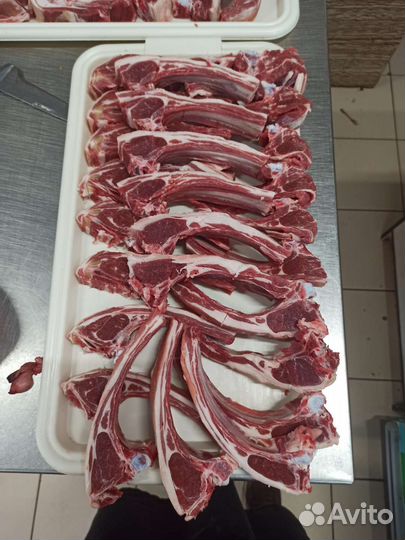 Мясо баранина-ягнята