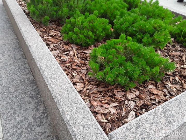 Кора сосновая в мешках 60л в Подольске