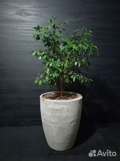 Горшки, Вазоны, Кашпо под заказ из бетона