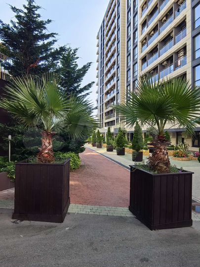 Квартира-студия, 28 м², 8/13 эт.