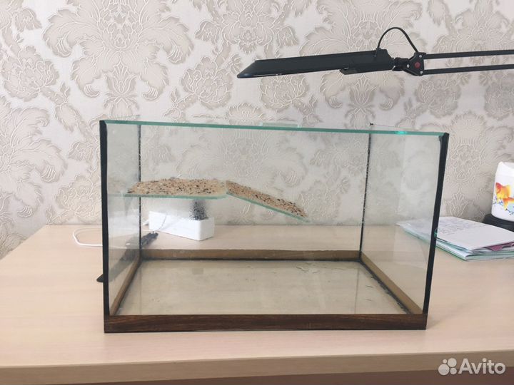Террариум для красноухой черепахи