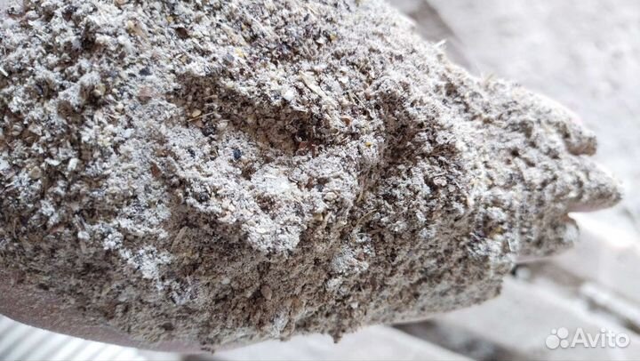 Помол овёс ячмень пшеница гречка горох