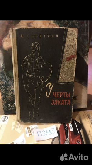 Слепухин Ю. У черты заката