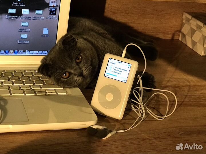 Редкий iPod photo 2004 20часов пробег