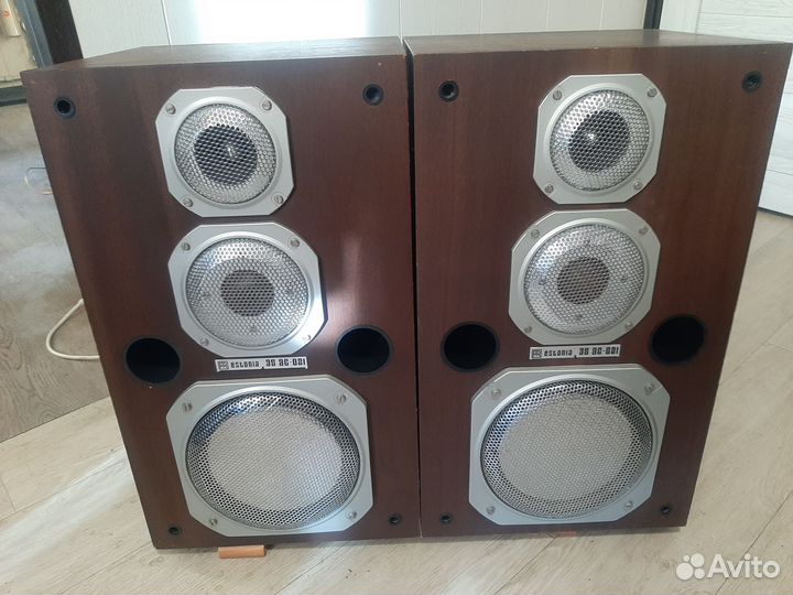 Акустика эстония