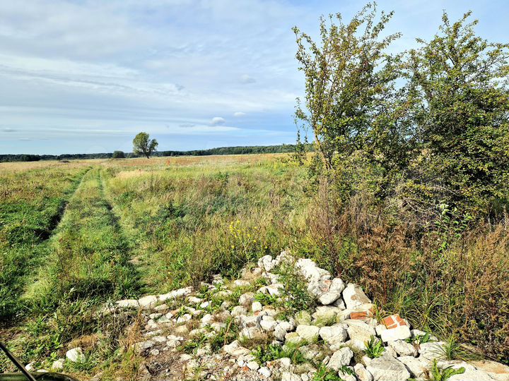 Участок 6 га (СНТ, ДНП)