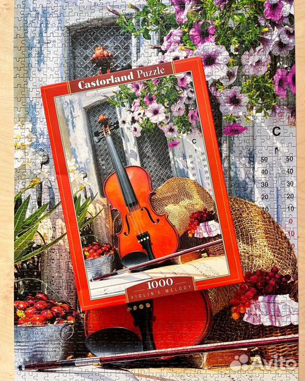 Пазлы 1000 Castorland