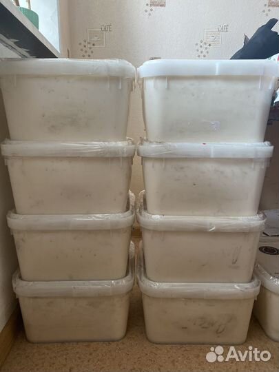 Мед крем суфле, натуральный алтайский