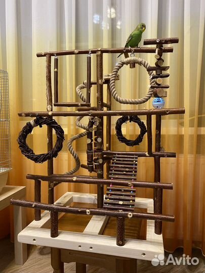 Стенд для попугая