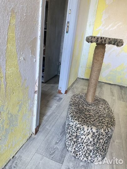 Когтеточка с домиком бу