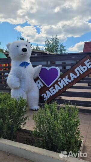 Ростовой медведь Панорамыч на Любой твой праздник