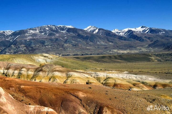 Туры по Горному Алтаю