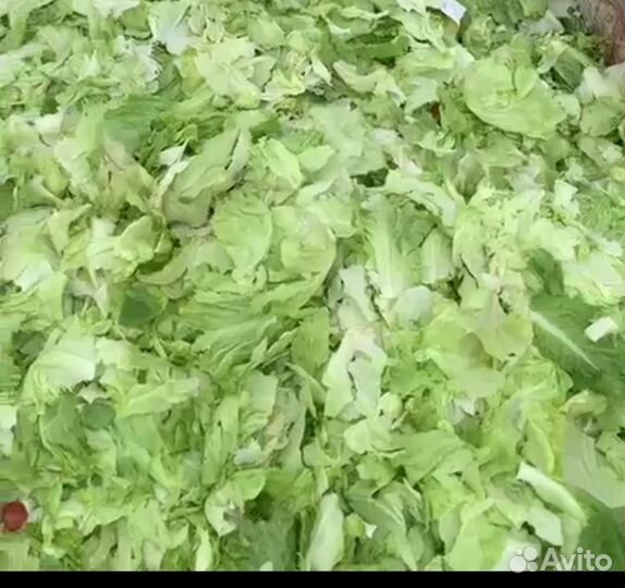 Пищевые отходы привезем