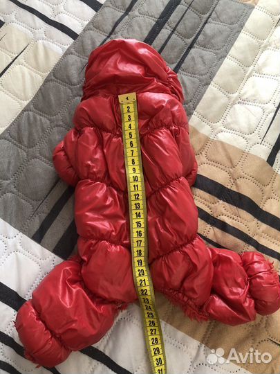 Одежда для собак мелких пород