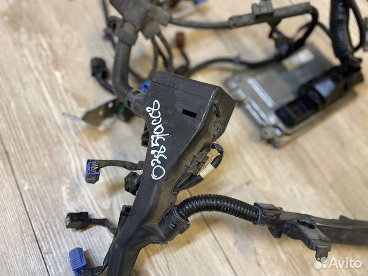 Проводка двигателя (моторная коса) Honda Accord 8