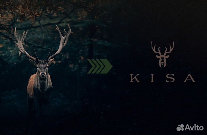 Графический дизайнер, разработка логотипа и стиля