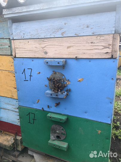 Ульи рамки для пчёл