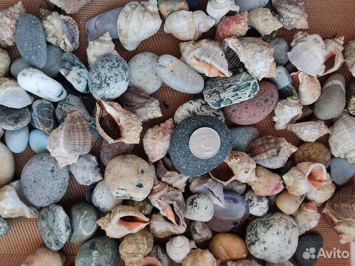 Камни и песок для аквариума