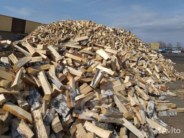 Дрова береза