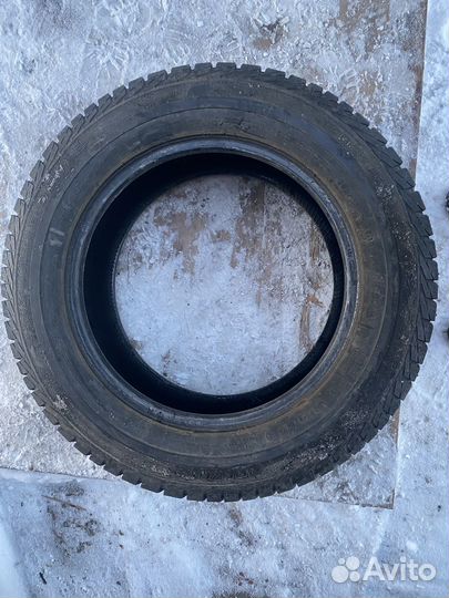 Gislaved Nord Frost Van 205/65 R16C