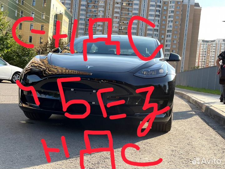 Tesla Model 3 258 л.с. AT, 2023, 56 км