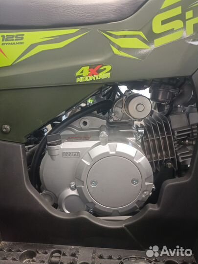 Квадроцикл Motoland shark 125 - L PRO