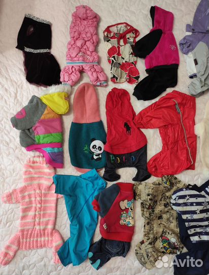 Одежда для собак мелких пород поштучно S XS