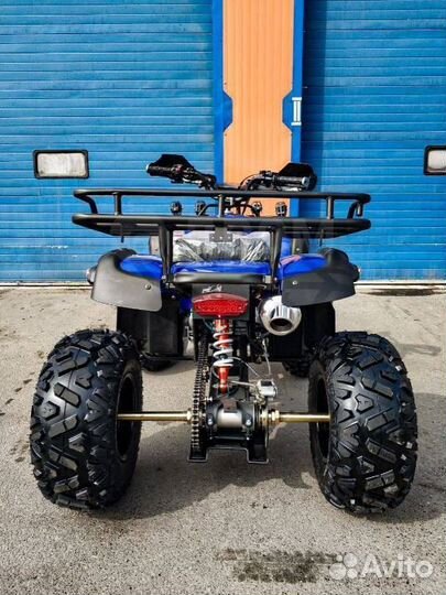 Квадроцикл Grizzly 250cc синий