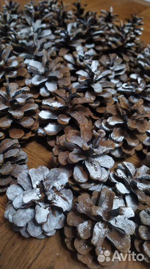 Шишки заснеженные