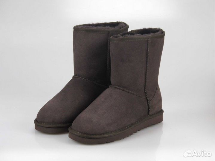 Ugg womens classic short chocolate 5825