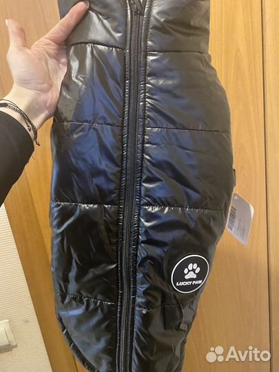 Жилет для собак