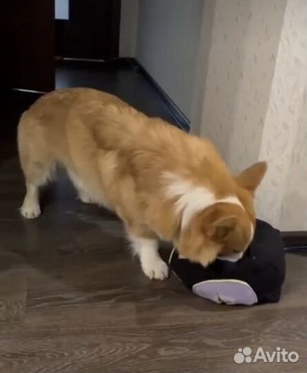 Нюхательный кубик для собак 15х15 см