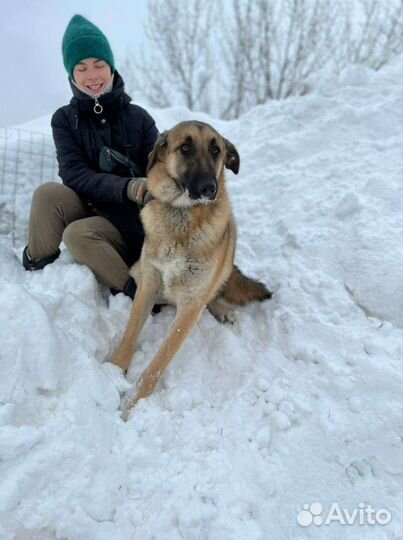 Очень спокойный Айс ждёт семью