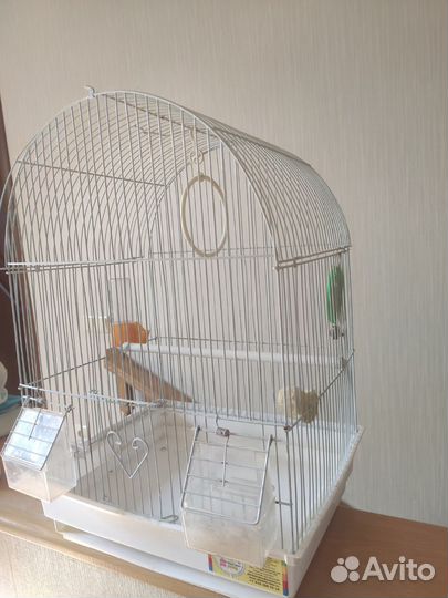 Клетка для самой любимой птички