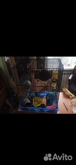 Клетка для грызунов
