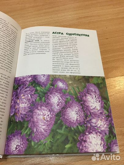 Книга Цветы на вашем участке О.Ганичкина