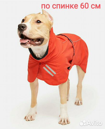 Одежда для большой собаки