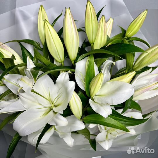 Лилии яркие