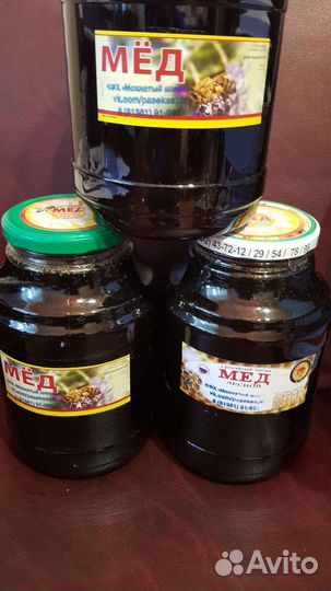 Мед диких пчел