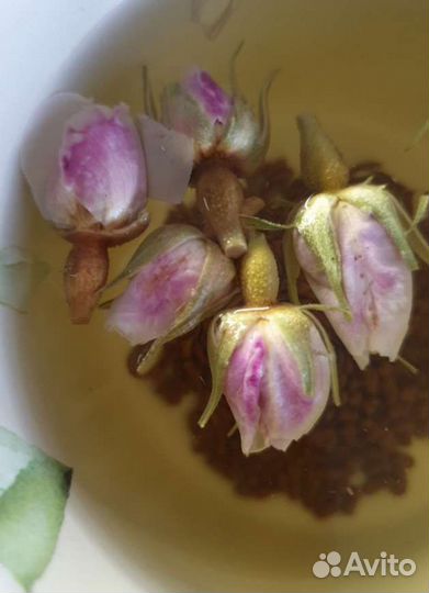 Чай бутоны роз