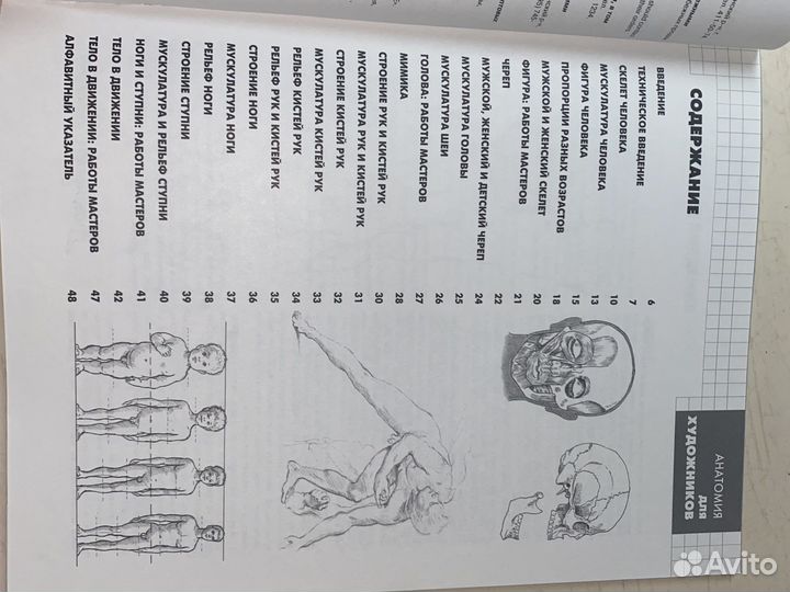 Книга по анатомии