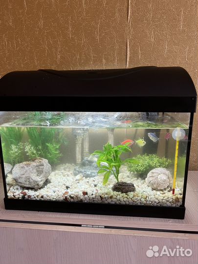 Украшения для аквариума