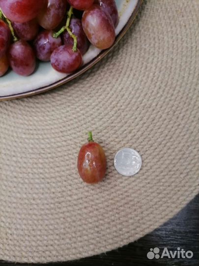 Саженцы и черенки винограда