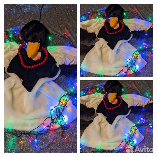 Костюм Сорока-Белобока и Черный Ворон напрокат